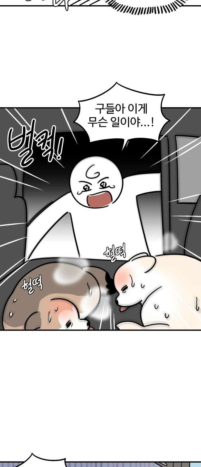 노곤하개 쇼츠 재난 영화 10