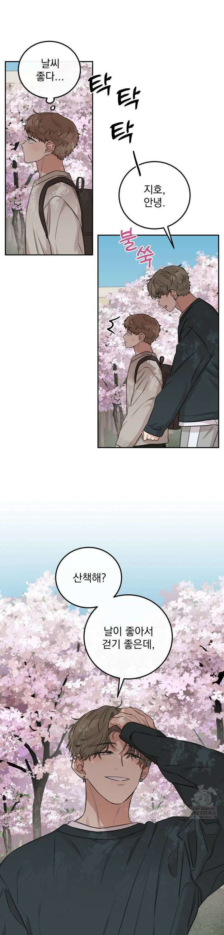 샌드위치 패러독스 3화 3