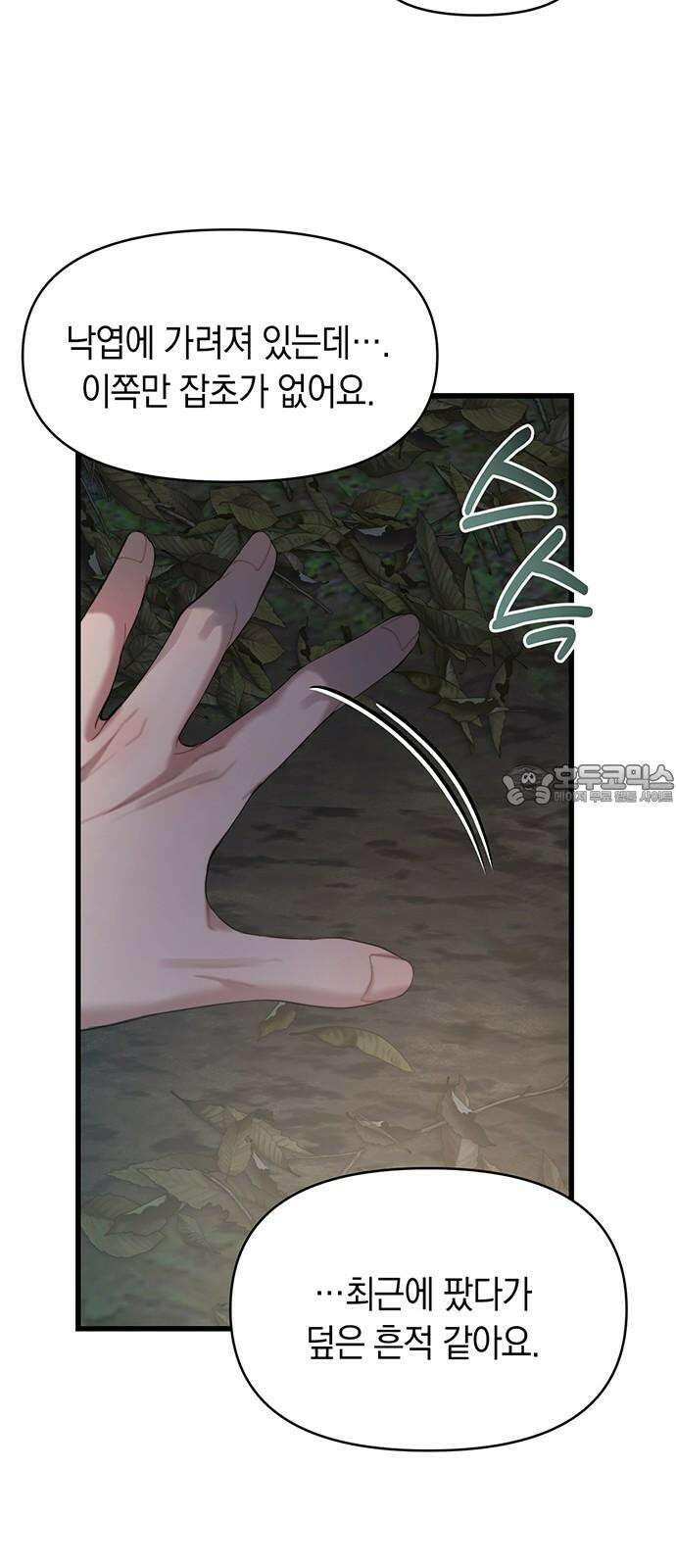 우아한 욕망 75화 51