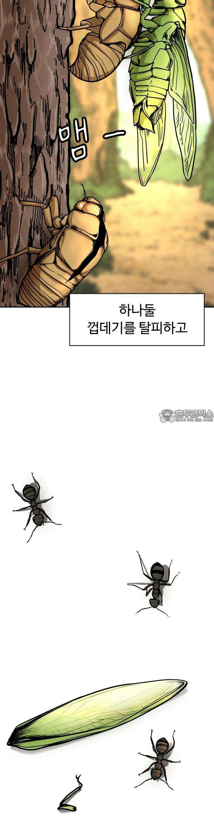껍데기(네이버) 1화 2