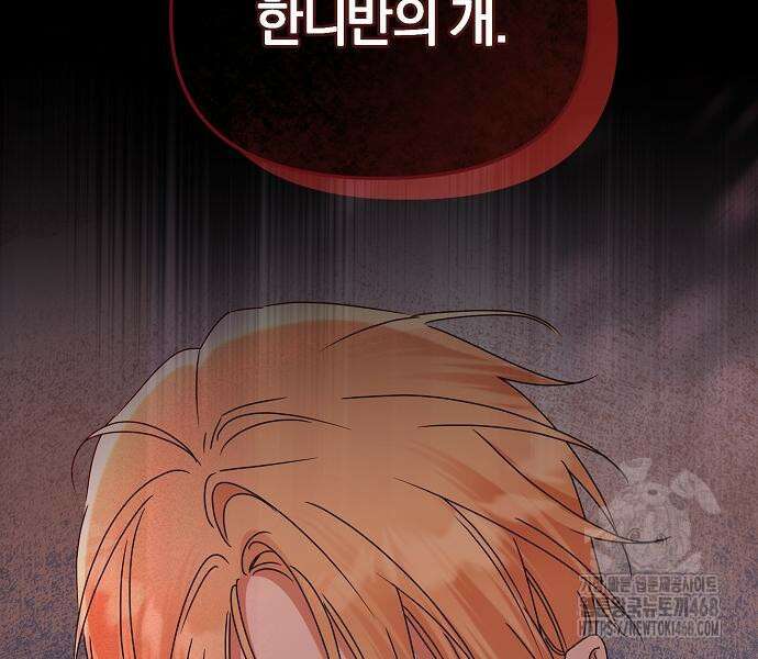암살자 가문의 수양딸이 되었다 65화 24