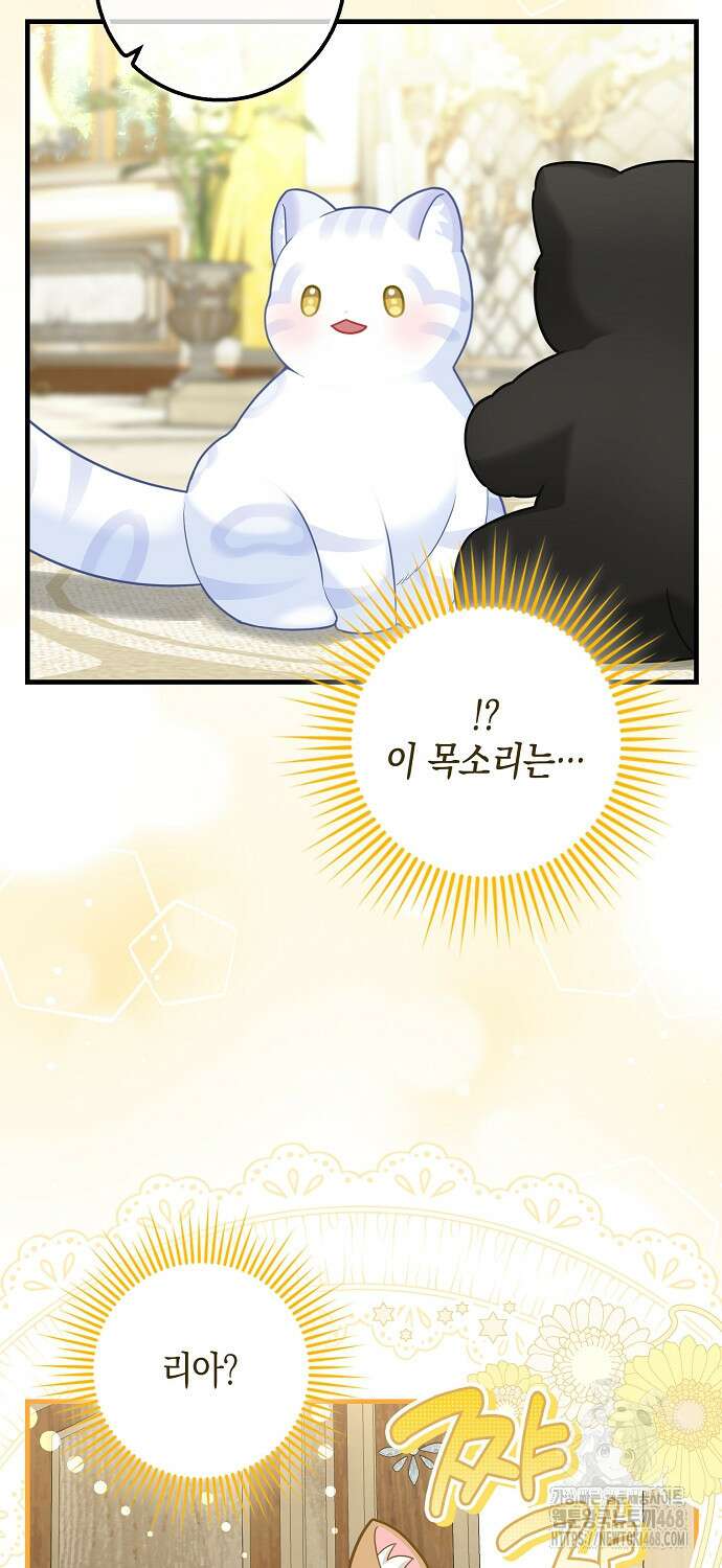 흑표 가문의 설표 아기님 가족들 1화 2