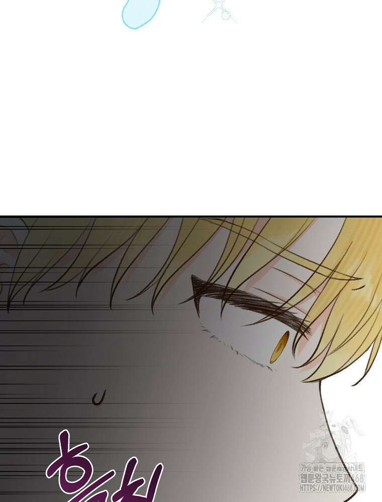 알리사와 마법일기 38화 78