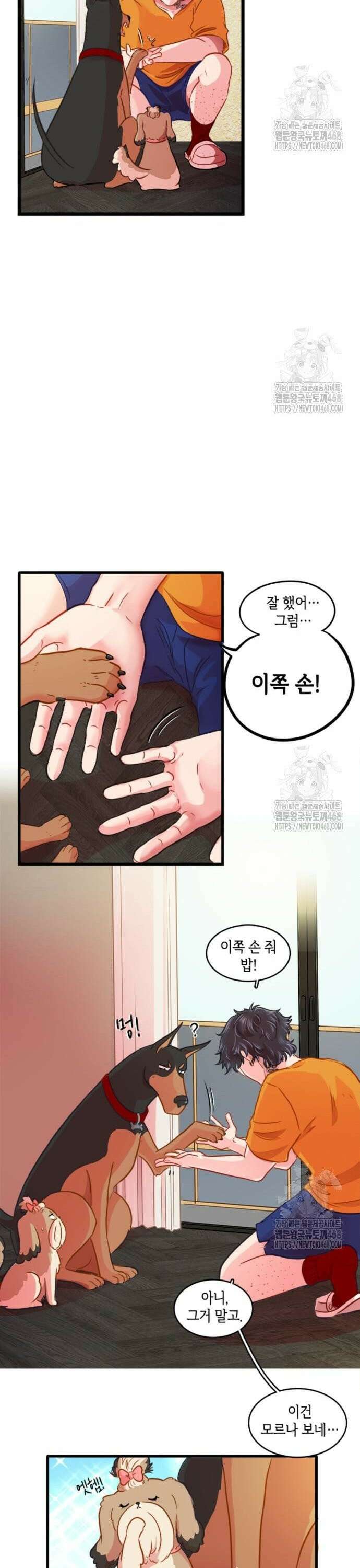 너랑 걷는 개 좋아 6화 10
