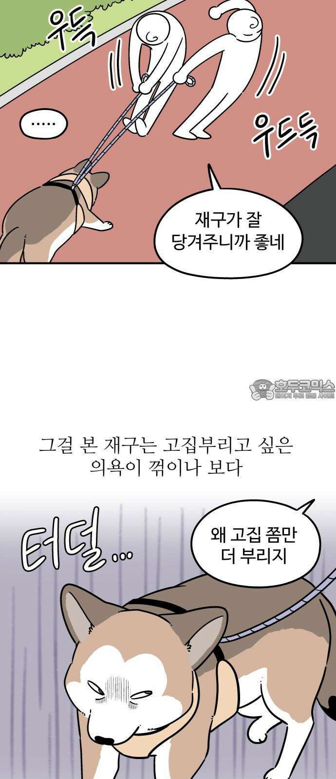 노곤하개 쇼츠 고집과 스트레칭 3