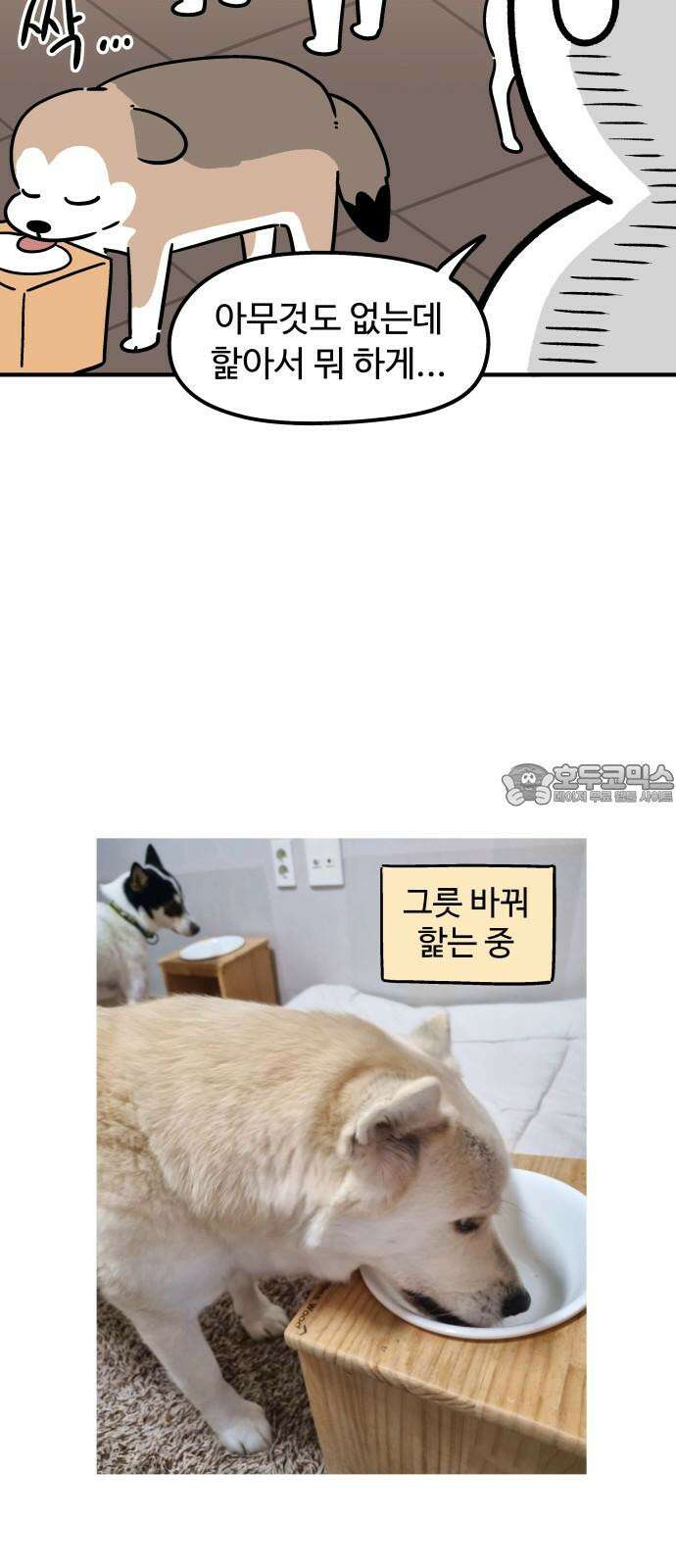노곤하개 쇼츠 고집과 스트레칭 9