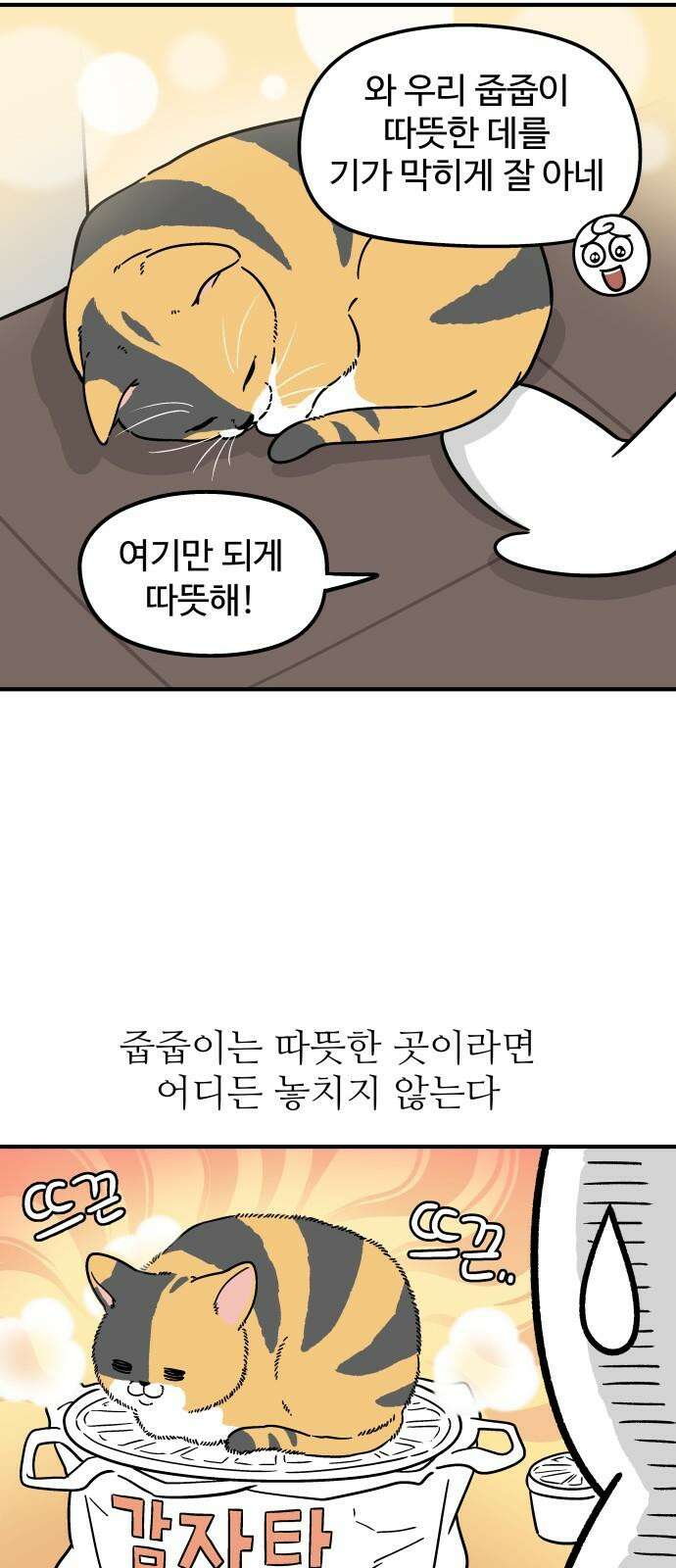 노곤하개 쇼츠 고집과 스트레칭 11