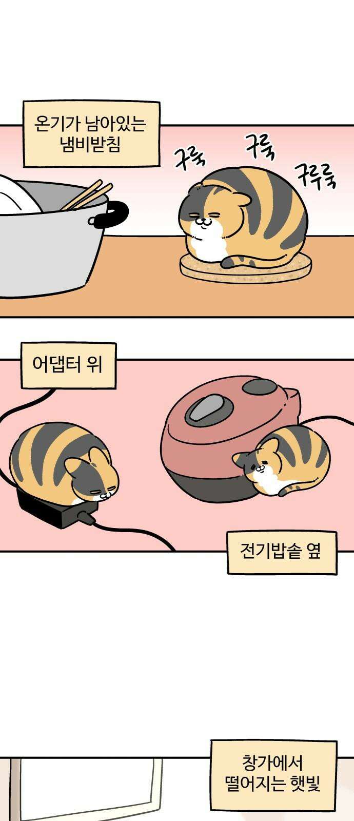 노곤하개 쇼츠 고집과 스트레칭 13
