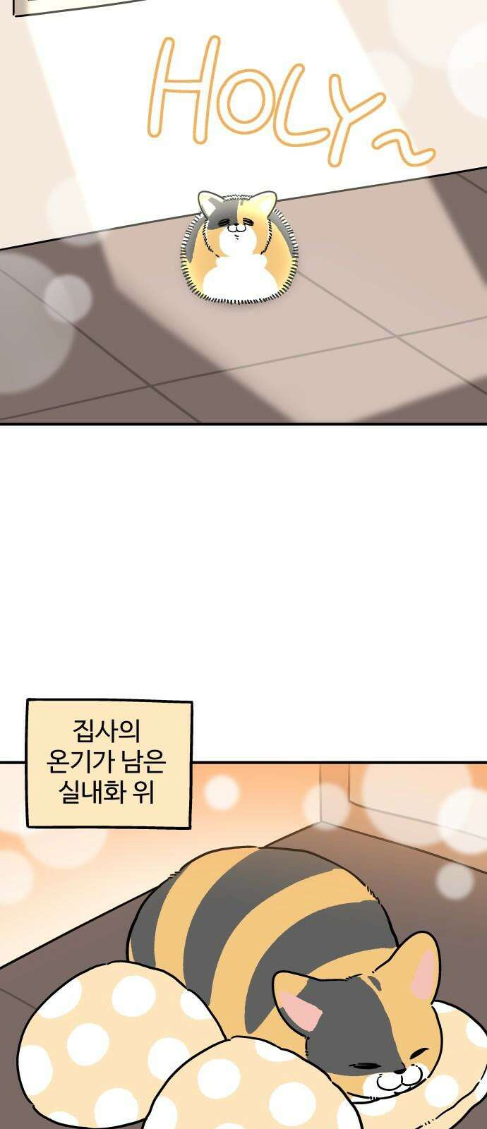 노곤하개 쇼츠 고집과 스트레칭 14