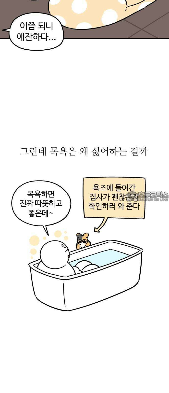 노곤하개 쇼츠 고집과 스트레칭 15