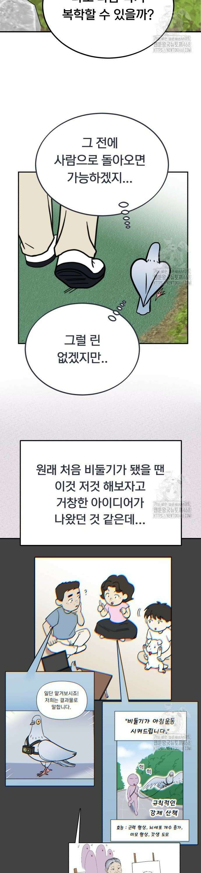 성북구 비둘기 이헌서 42화) 철없는 이헌서 2