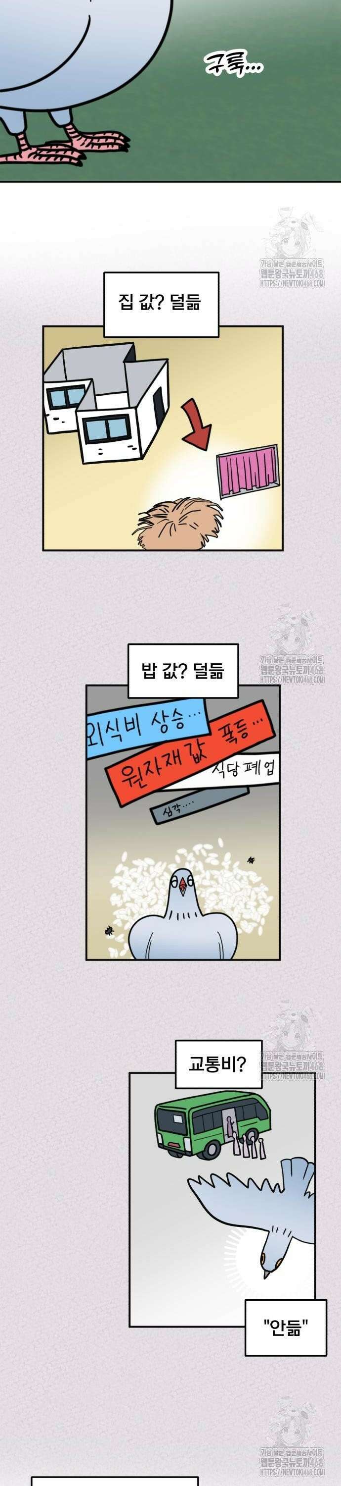 성북구 비둘기 이헌서 42화) 철없는 이헌서 4