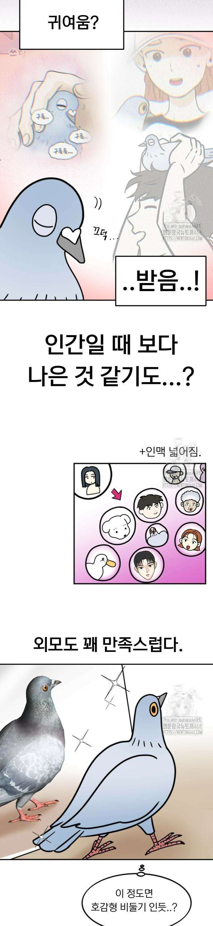 성북구 비둘기 이헌서 42화) 철없는 이헌서 5