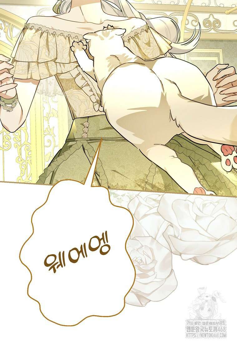 백작가의 사생아가 결혼하면 104화 5