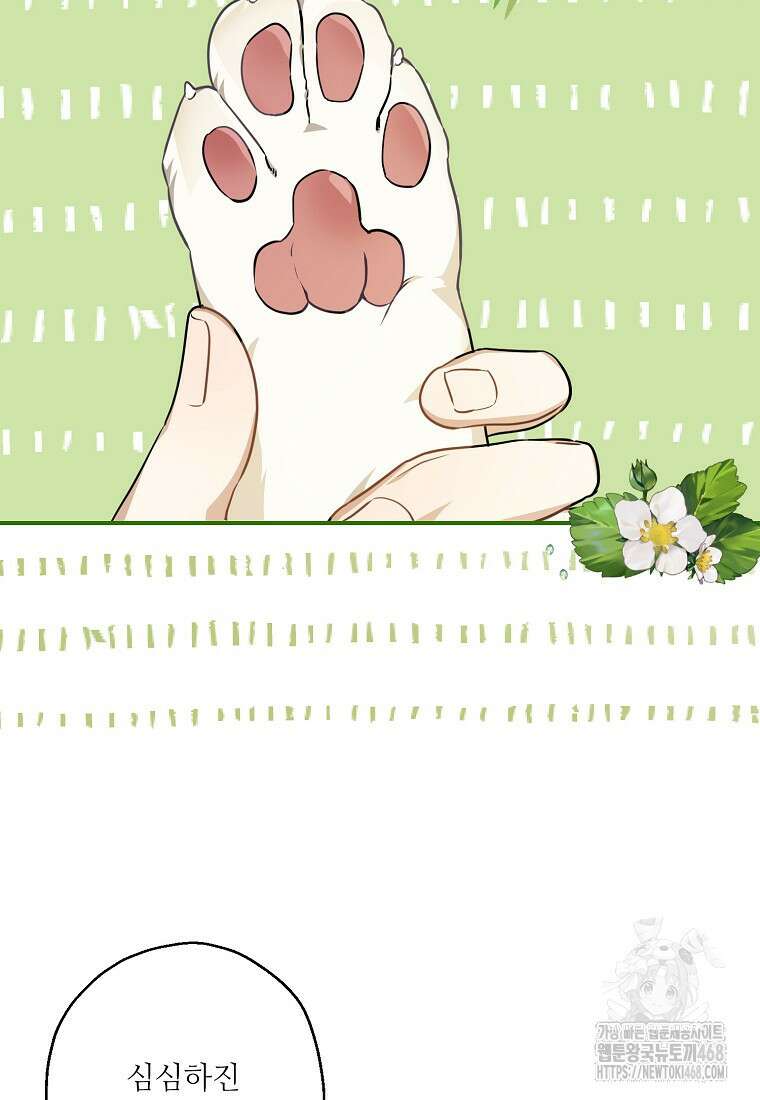백작가의 사생아가 결혼하면 104화 8