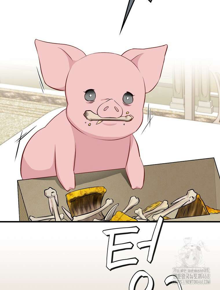 밥만 먹고 레벨업 204화 15