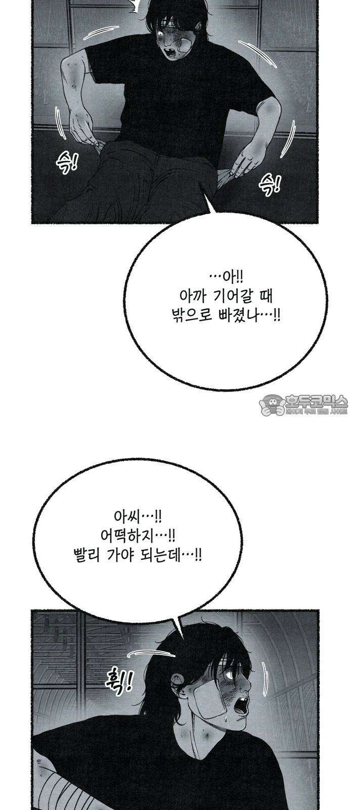 벌집 65화 66