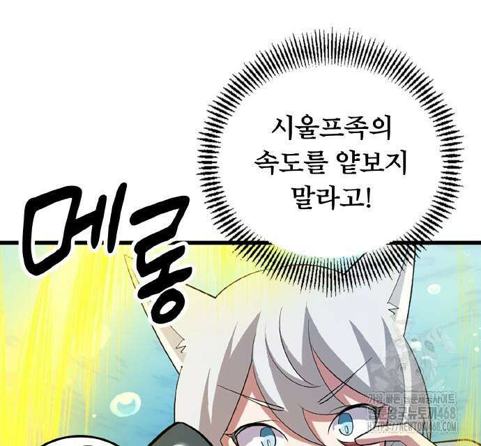 ???랭크 히든 장비 무쌍 42화 49