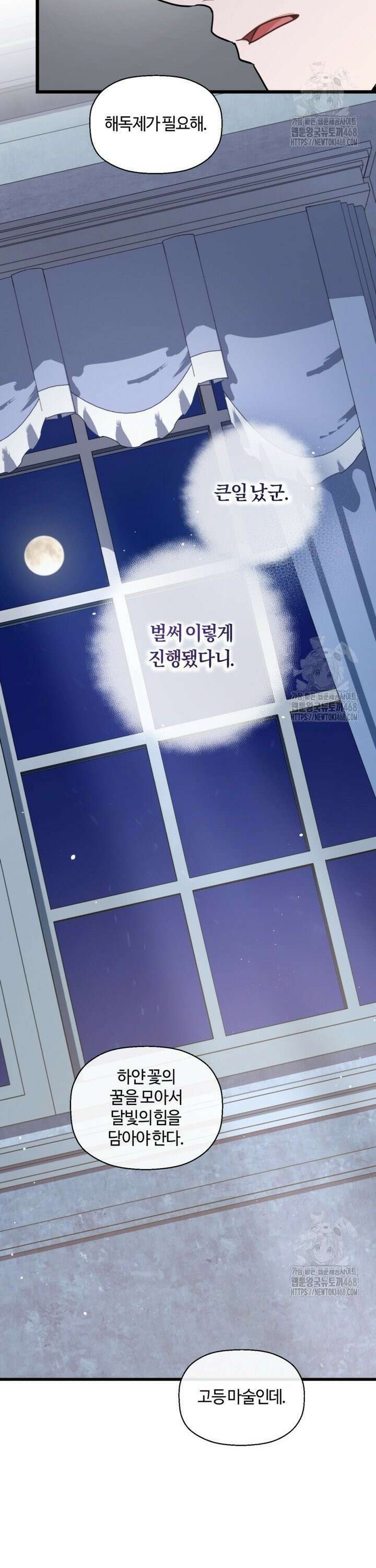 폐하, 저를 잊어주세요 15화 24