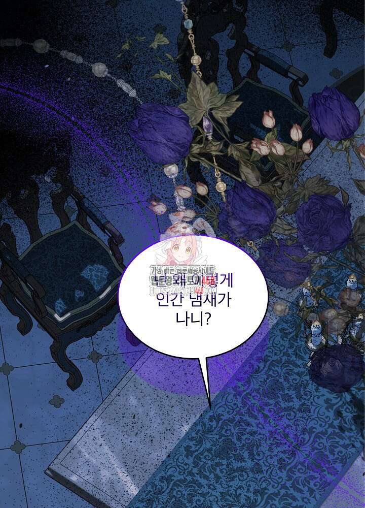 아기 신수로 환생했습니다 90화 1