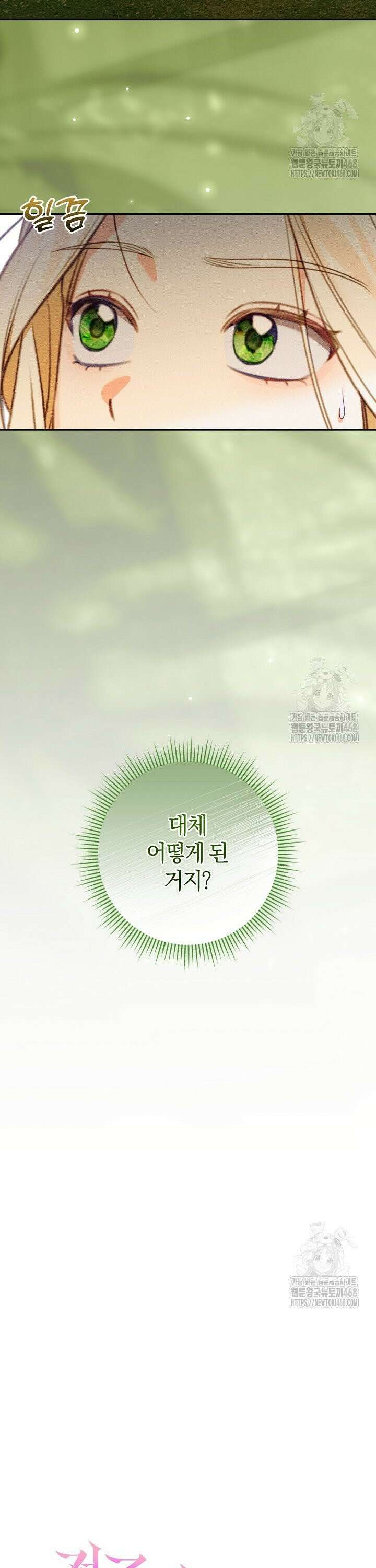 저주받은 공작가의 안주인이 되어 버렸다 73화 7