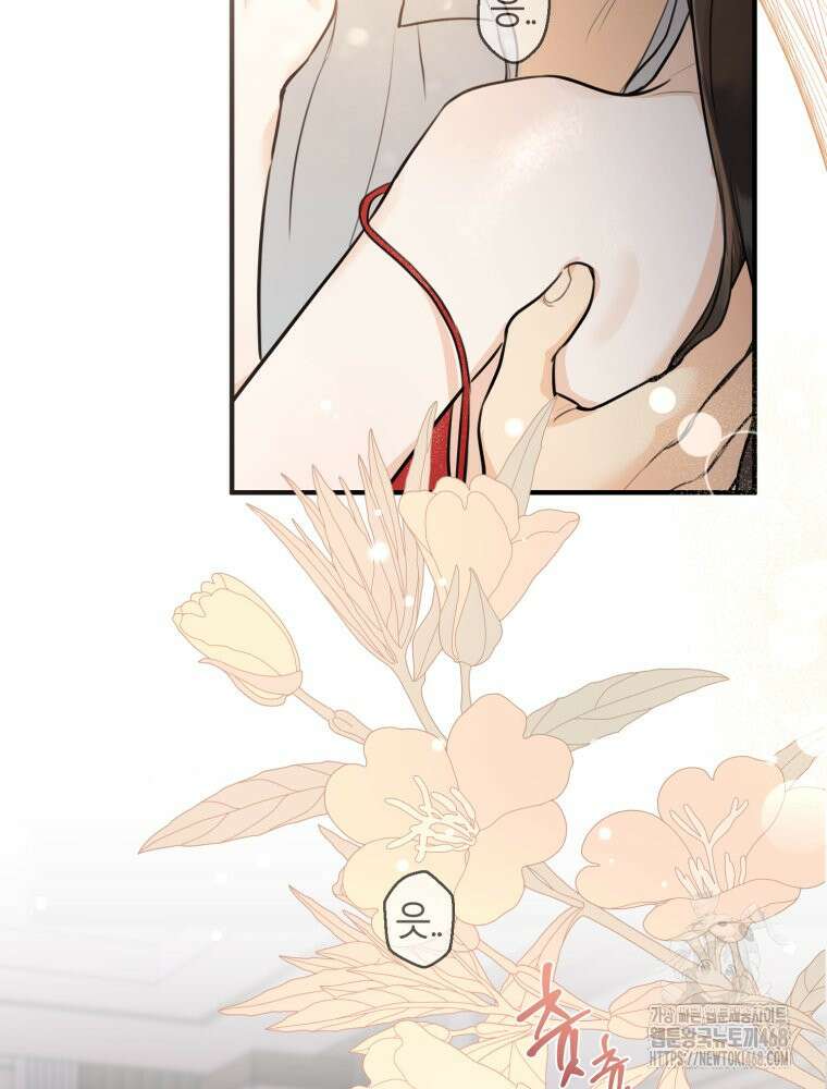 결혼 사정 외전 4화 48