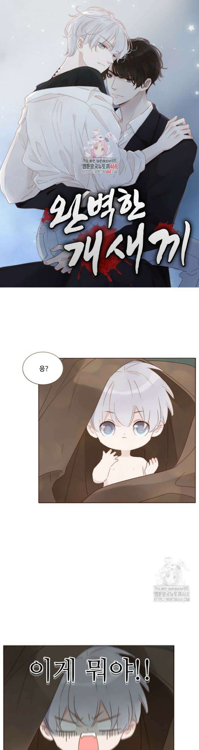 완벽한 개새끼 74화 1