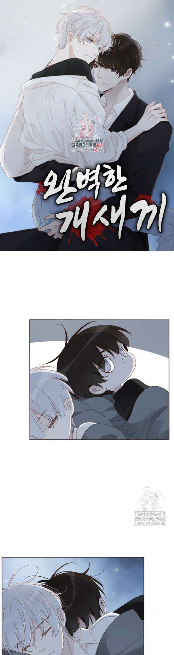 완벽한 개새끼 84화 1