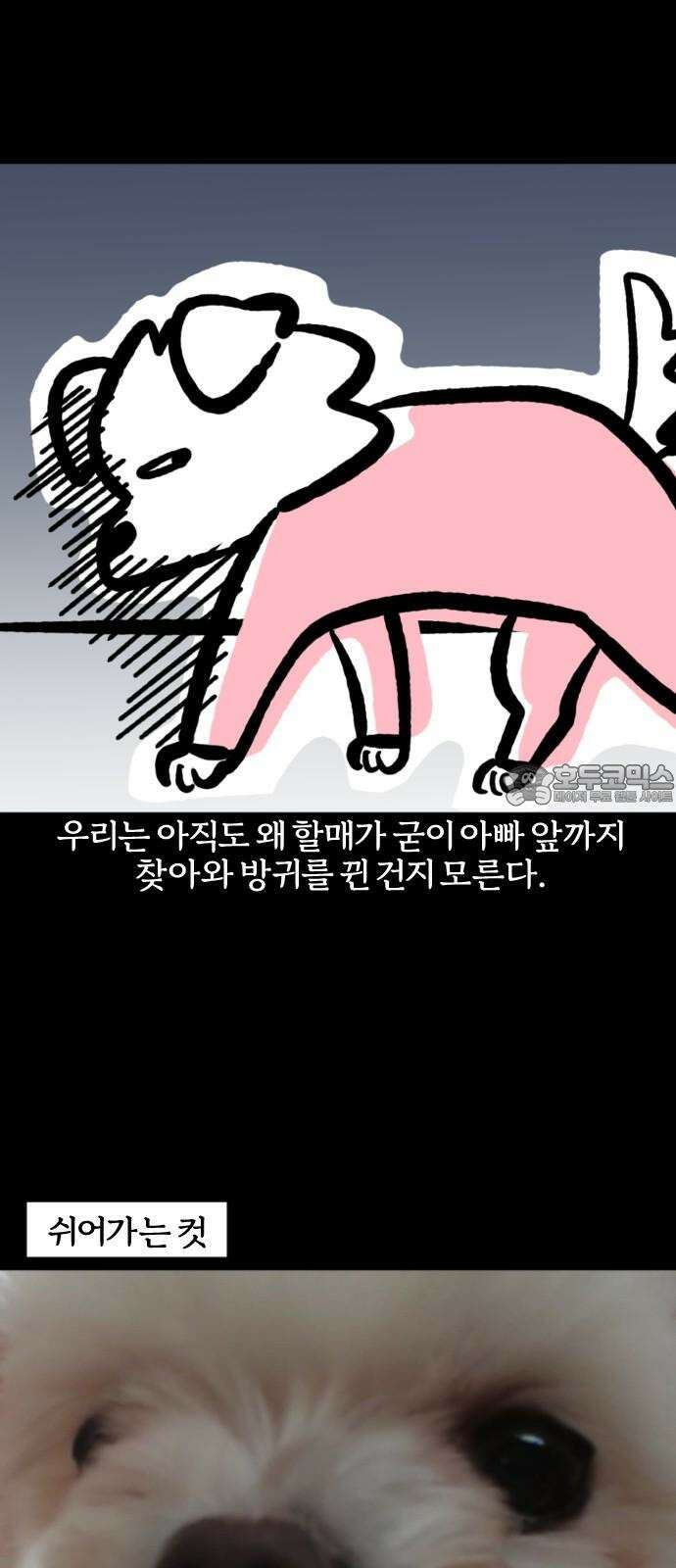 개집사 75화: 냄새! 12