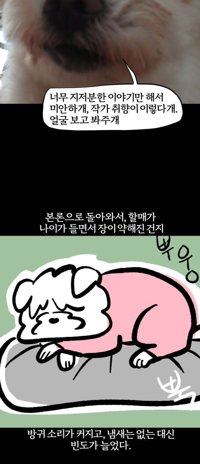개집사 75화: 냄새! 13