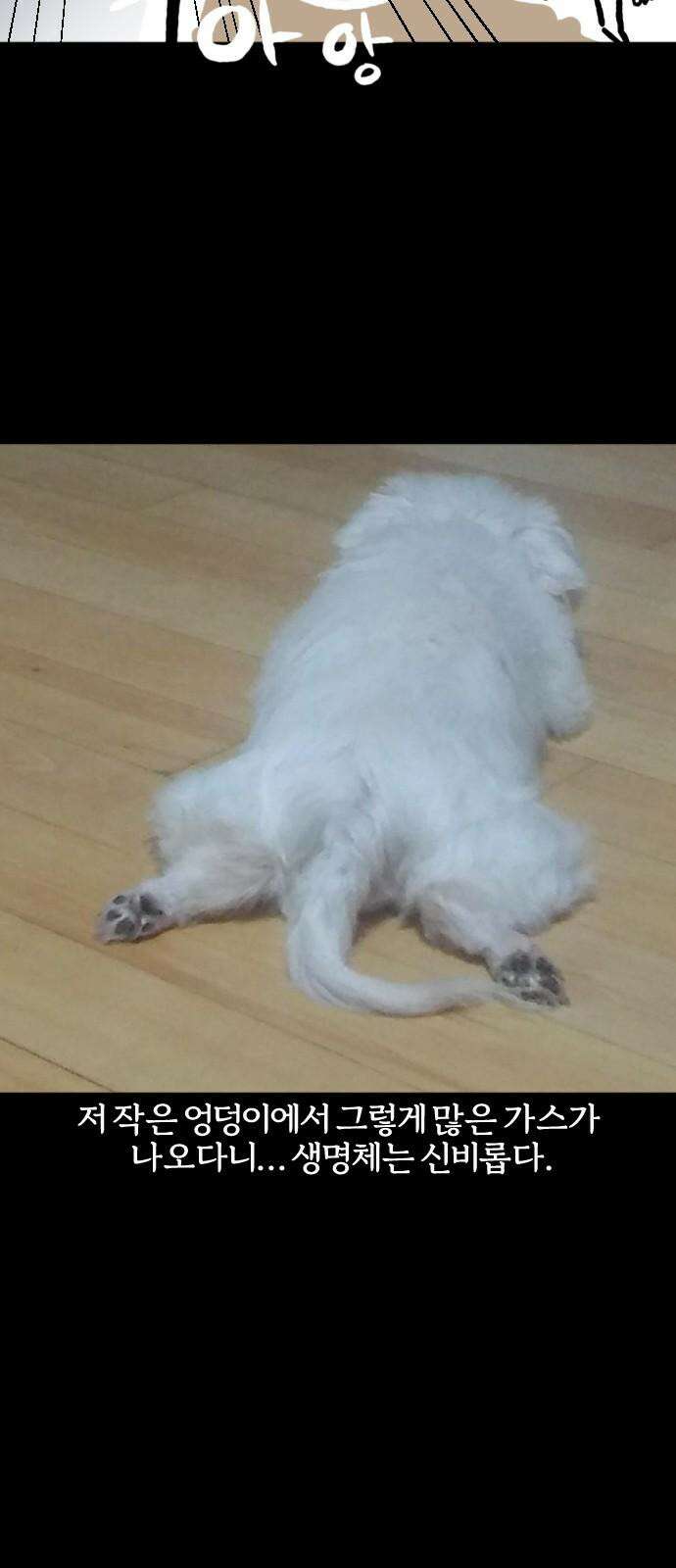 개집사 75화: 냄새! 20
