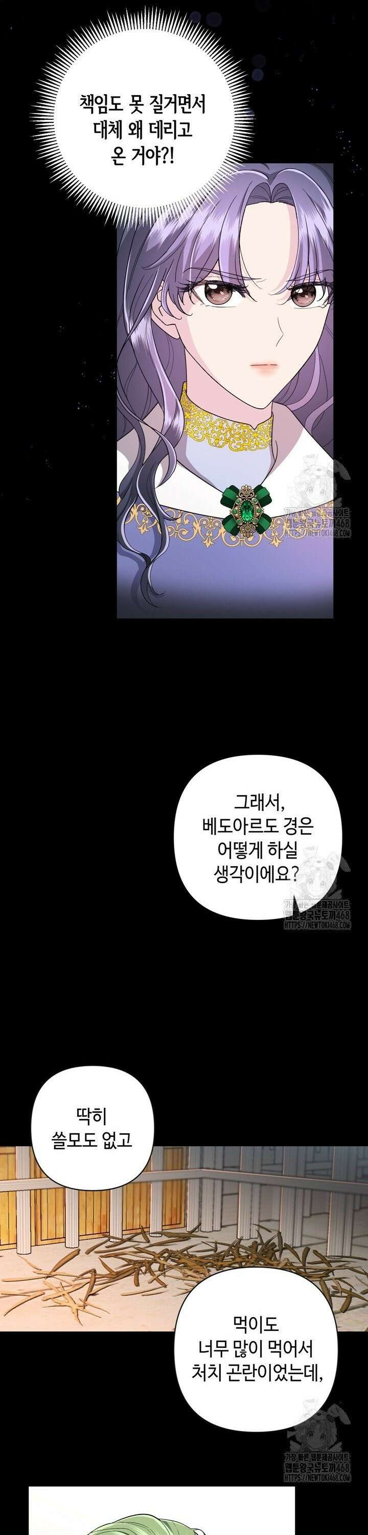 몰락한 왕녀에게는 회귀가 필요합니다 10화 6
