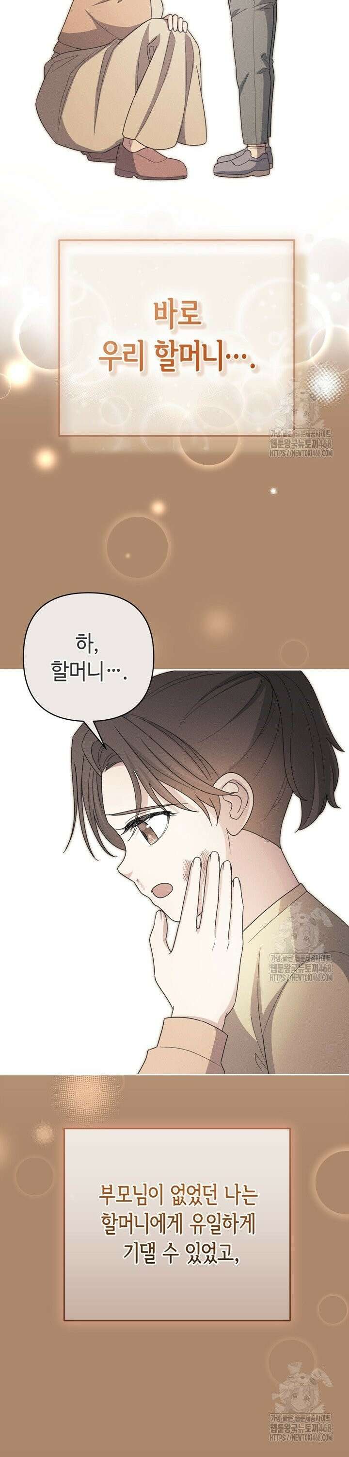 몰락한 왕녀에게는 회귀가 필요합니다 20화 32