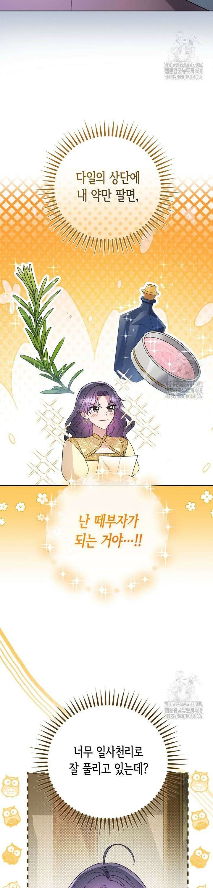 몰락한 왕녀에게는 회귀가 필요합니다 30화 17