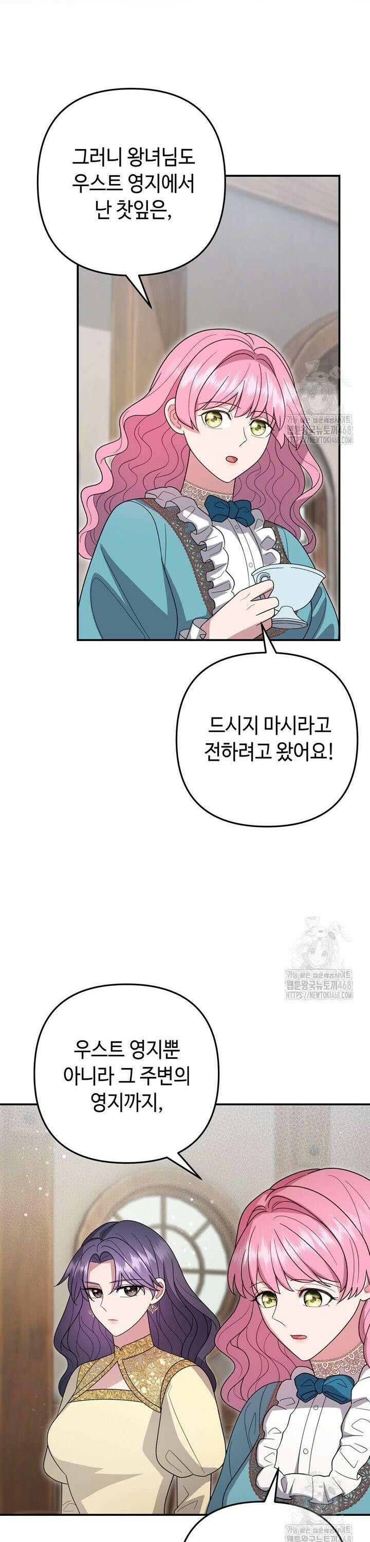 몰락한 왕녀에게는 회귀가 필요합니다 30화 29