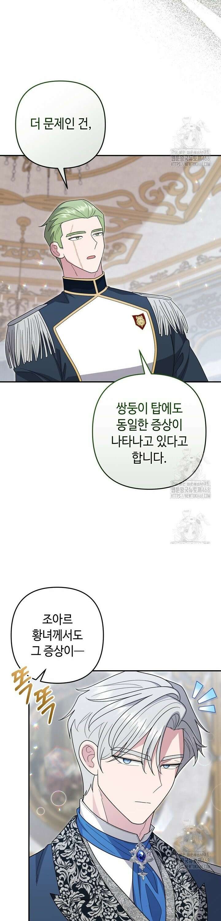 몰락한 왕녀에게는 회귀가 필요합니다 30화 37