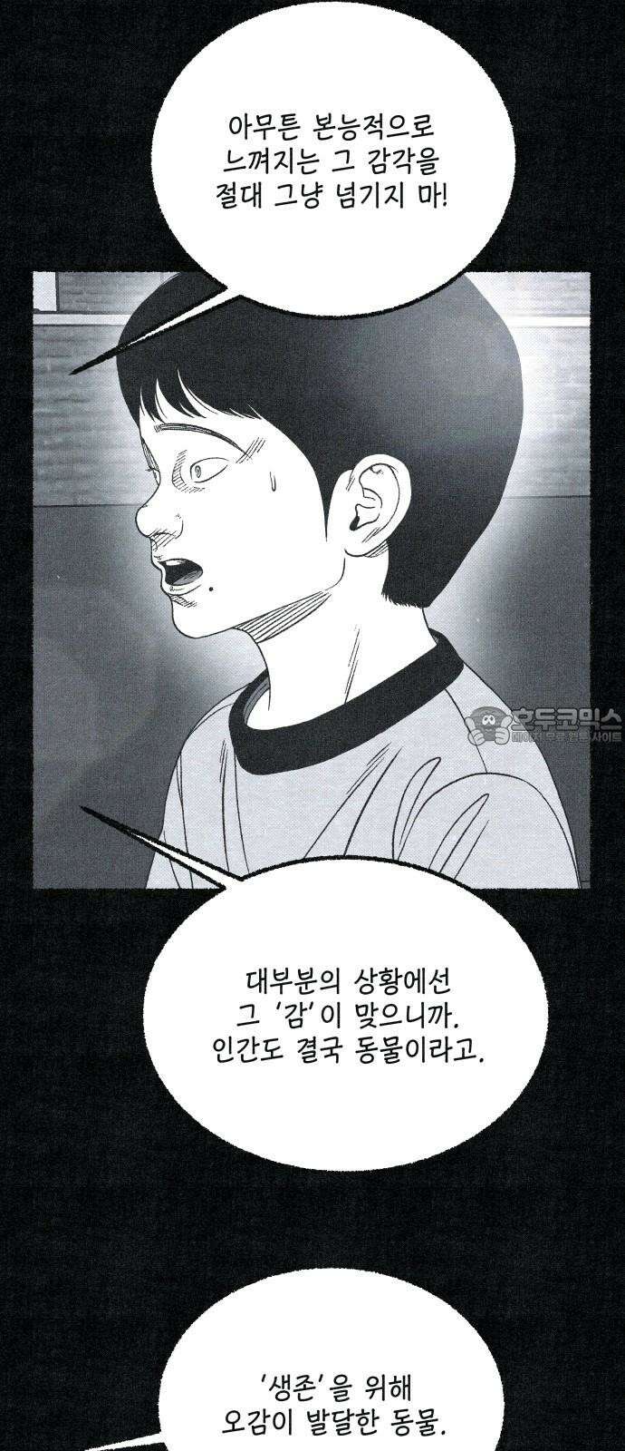 벌집 69화 36