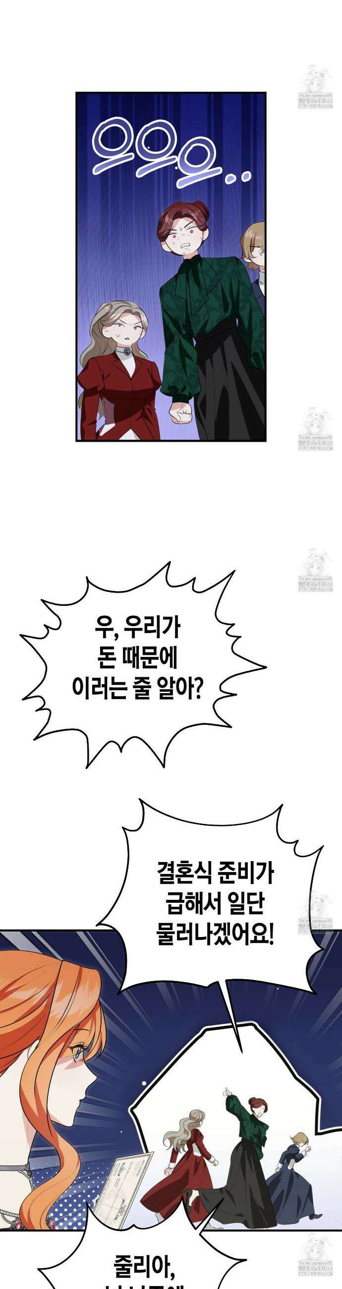 결혼 말고, 파산하고 싶습니다 12화 25
