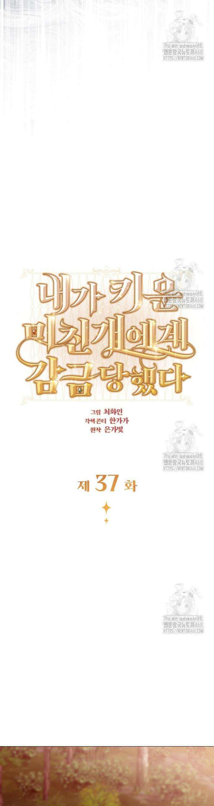 내가 키운 미친개에게 감금당했다 37화 4