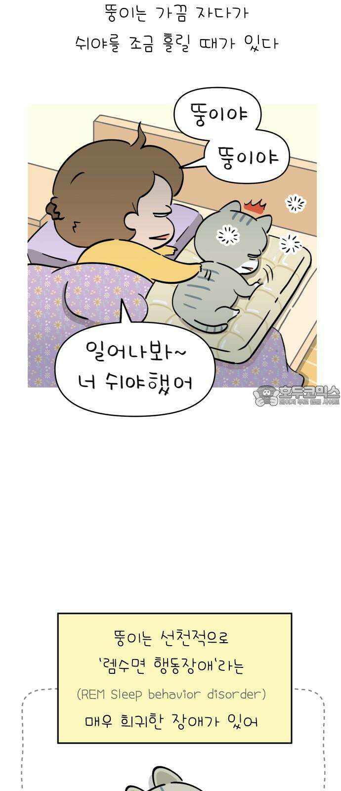 낢이 사는 이야기 - 계속되는 미미한 인생 54화 고양이 2부작 (2) 노묘 일기 3