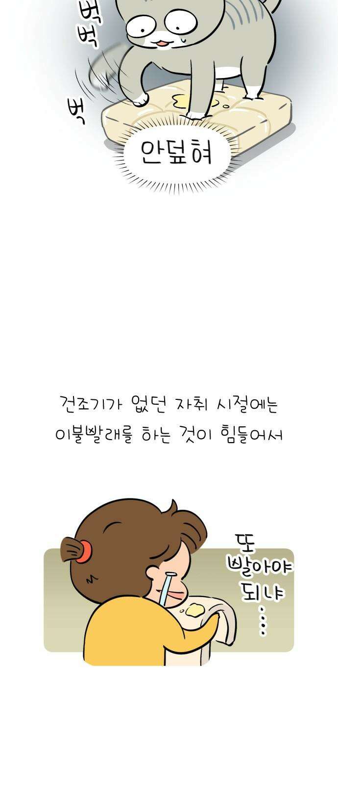 낢이 사는 이야기 - 계속되는 미미한 인생 54화 고양이 2부작 (2) 노묘 일기 5
