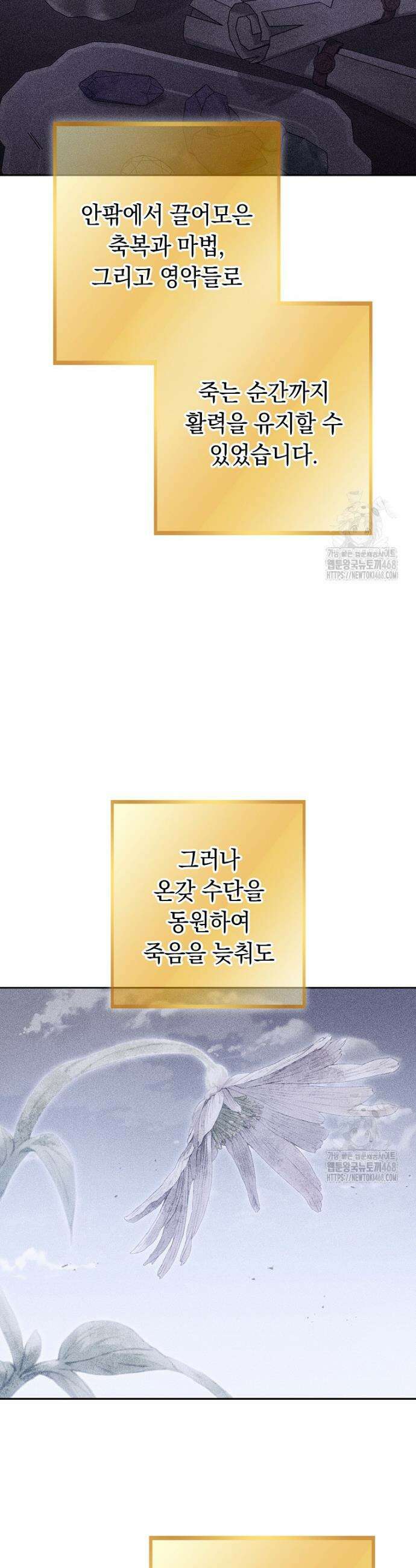 던전 리셋 245화 11