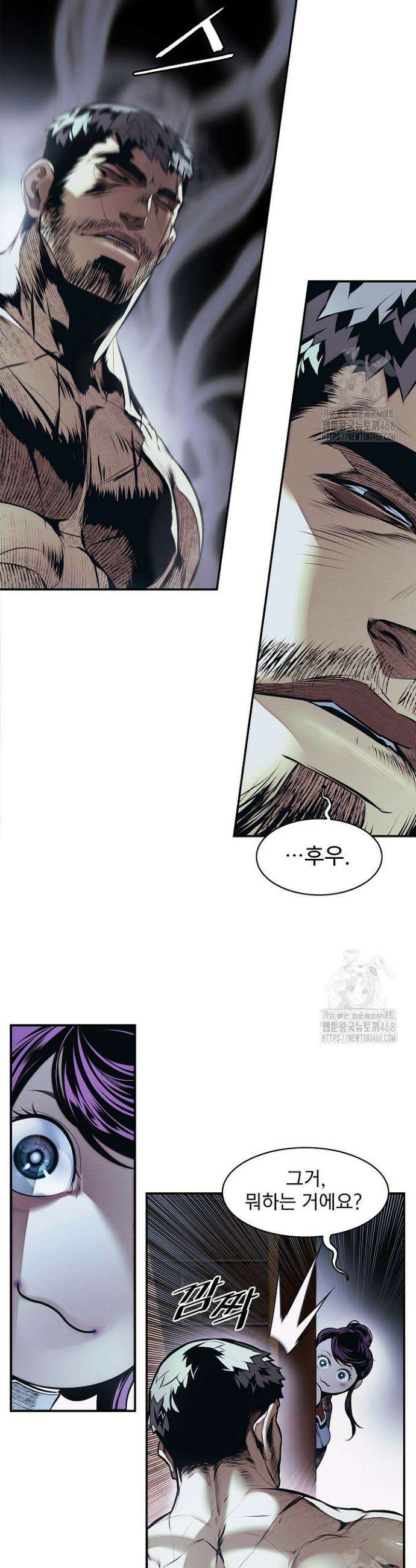 묵향 다크레이디 253화 8