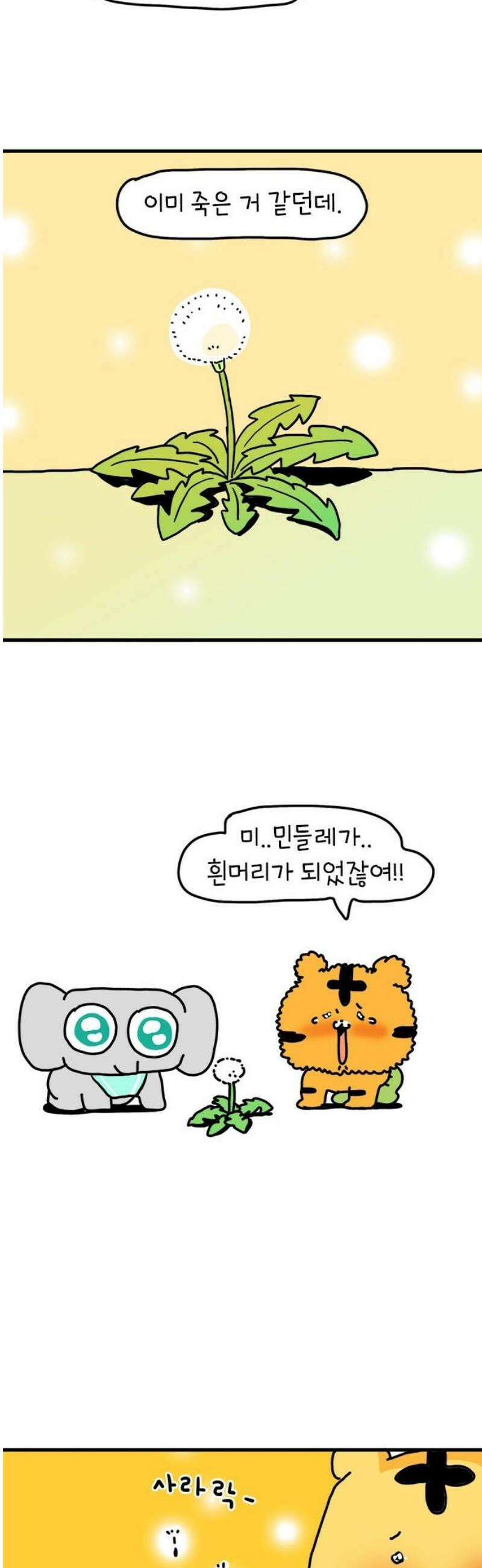소심한 호랭이 코코 48화 비밀 민들레 정원 (2) 완 35