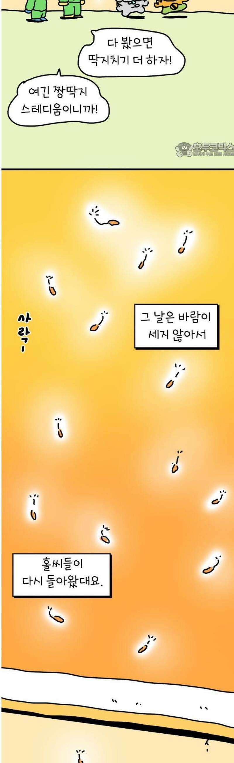 소심한 호랭이 코코 48화 비밀 민들레 정원 (2) 완 39