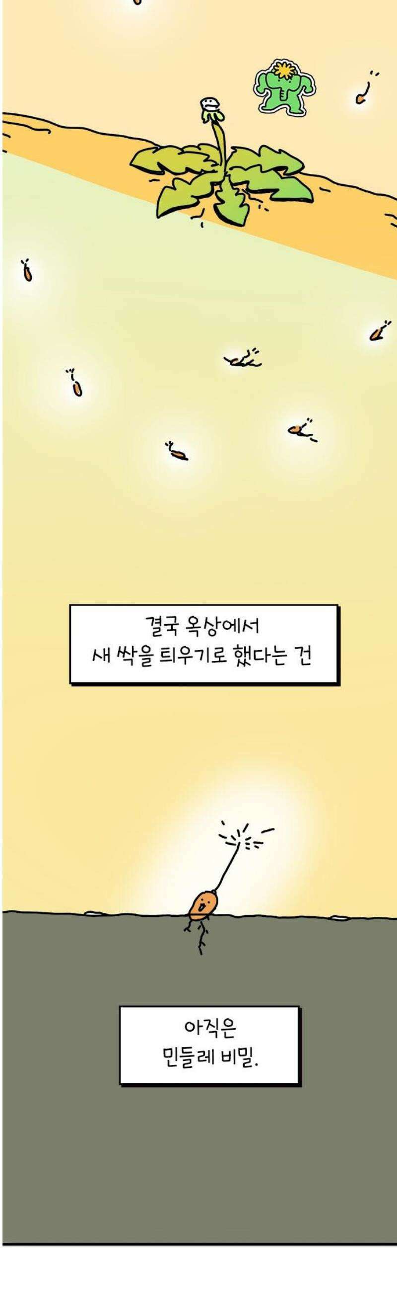 소심한 호랭이 코코 48화 비밀 민들레 정원 (2) 완 40