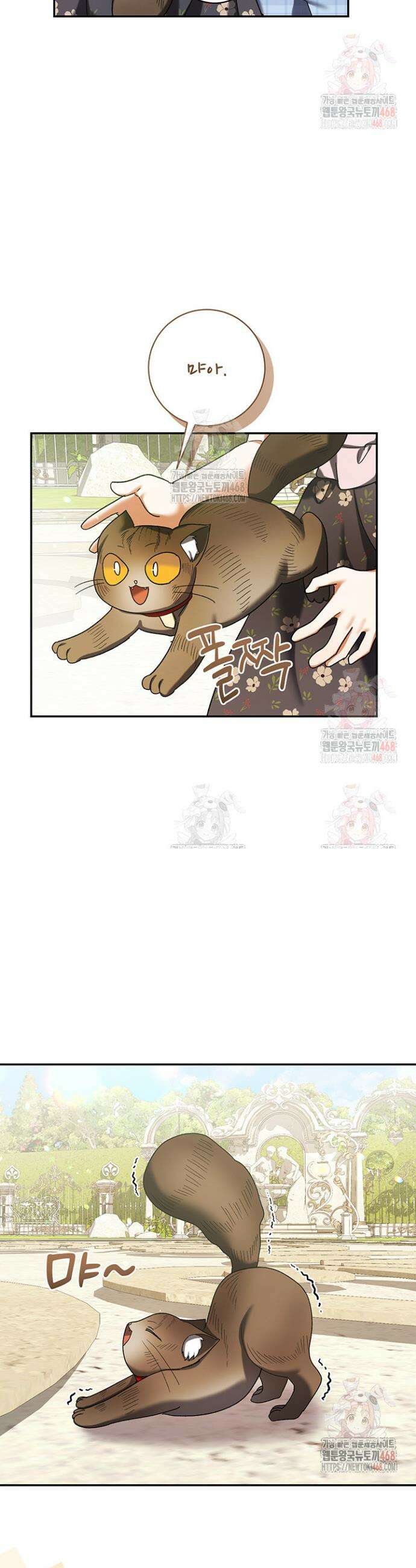 한 줄짜리 영애였을 터 232화 19