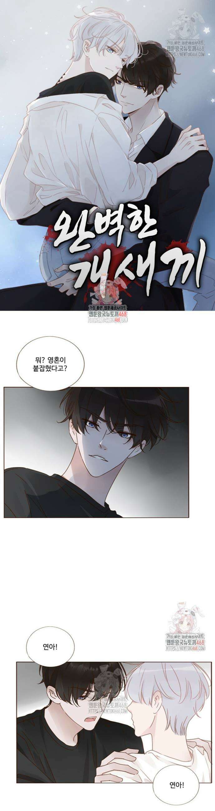 완벽한 개새끼 99화 1