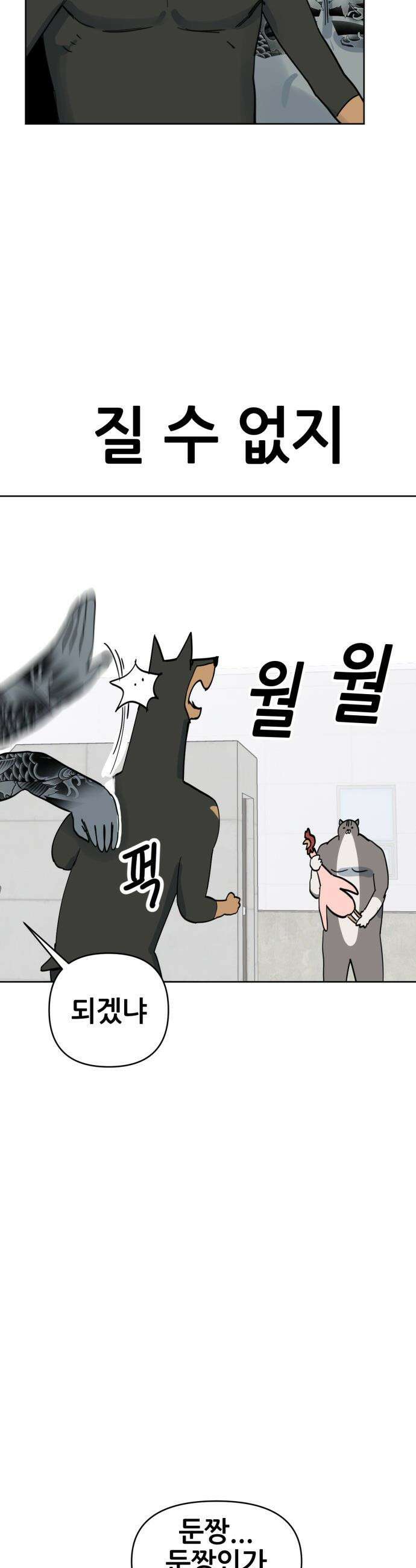 괴양이 - 94화 - 카이사르의 대모험7 : 꾹꾹이 5