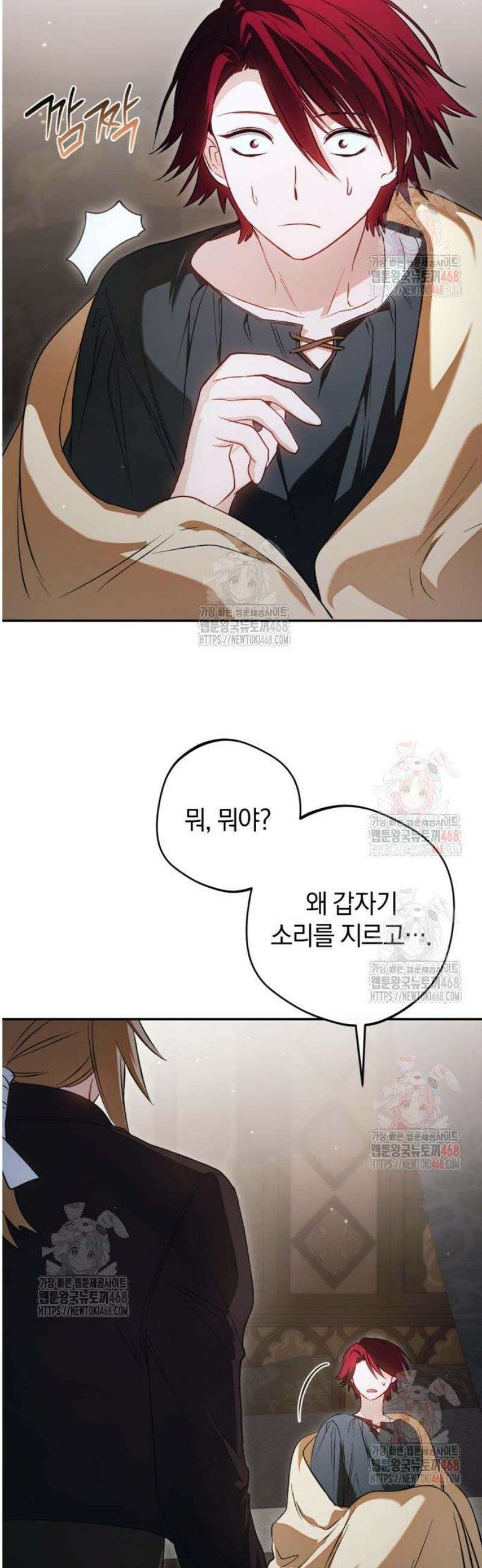 악역 폭군이 회귀해 버렸다 47화 6